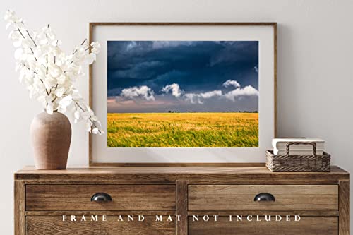 צילום כפרי הדפס תמונה של עננים בצורות שונות מעל שדה הזהב ביום סוער באוקלהומה אמנות קיר גחמנית עיצוב טבע 4 על 6 עד 30 על 45