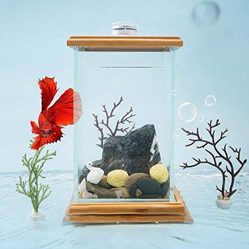 זכוכית מיני שולחן העבודה דגי טנק סלון קטן שולחן יצירתי עצלן אקולוגי קטן דגי טנק נוף