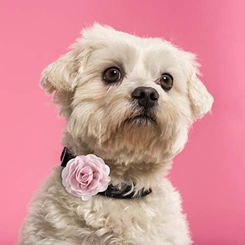20 חתיכות כלב צווארון פרחים לחיות מחמד עניבת פרפר פרח קולרים עבור גור צווארון טיפוח אבזרים