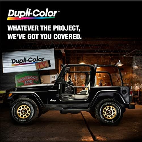 Dupli-Color ANS0607 מבריק ניסן מגרד התאמה מדויקת לתקן את כל הצבע המגע-כל-עד 1-0.5 גרם